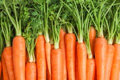 Ripe fresh carrots as background, space for text